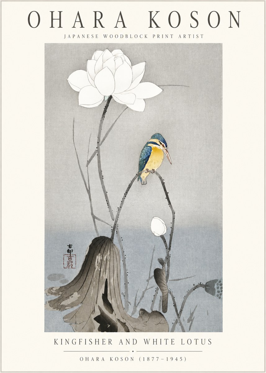 Ohara Koson Kingfisher and White Lotus No1 - Juliste
