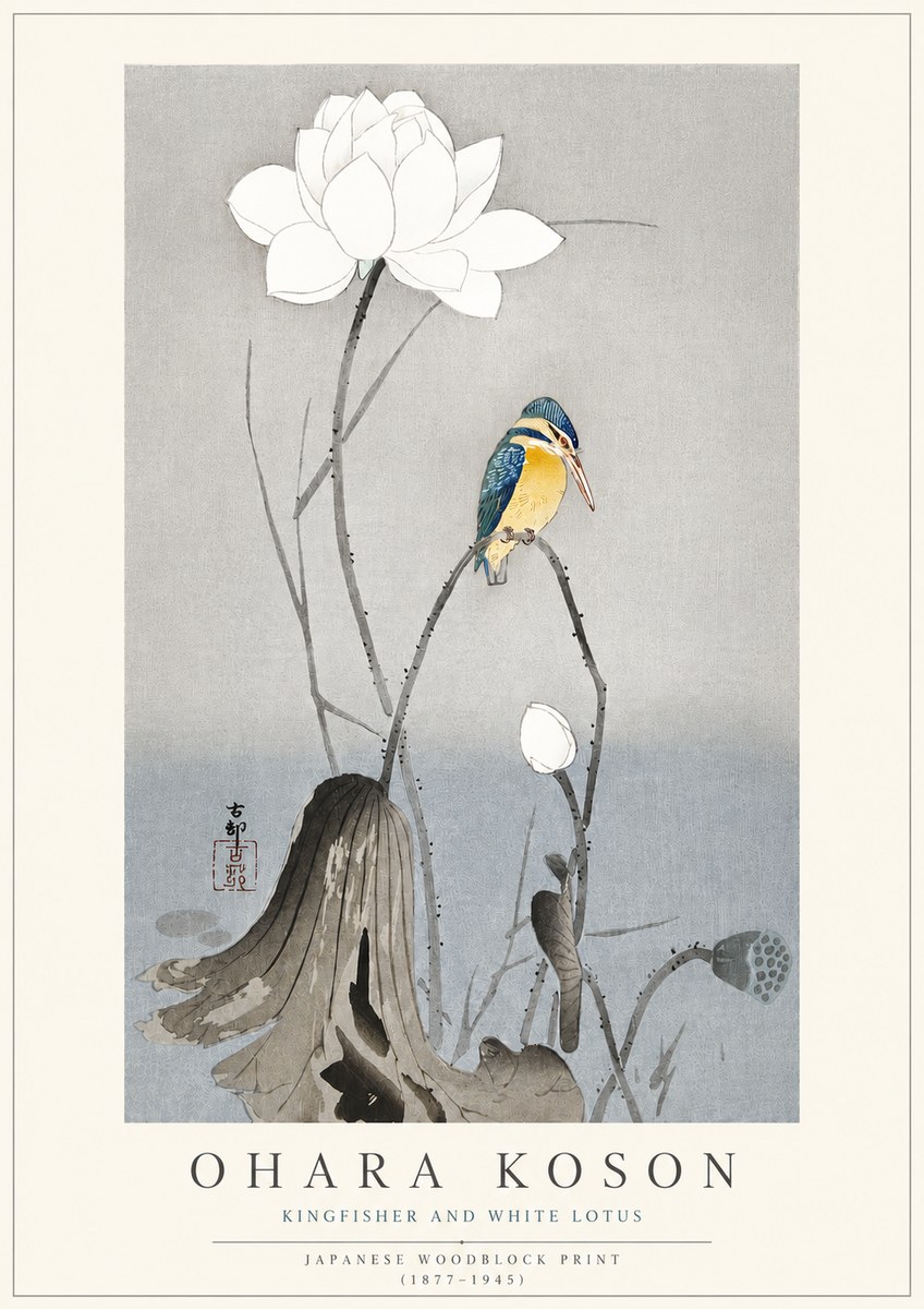 Ohara Koson Kingfisher and White Lotus No3 - Juliste