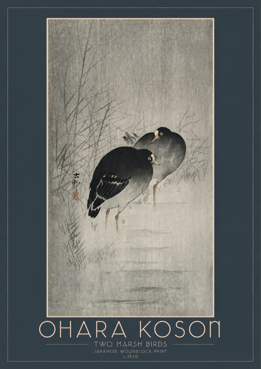 Ohara Koson Two Marsh Birds No2 - Juliste