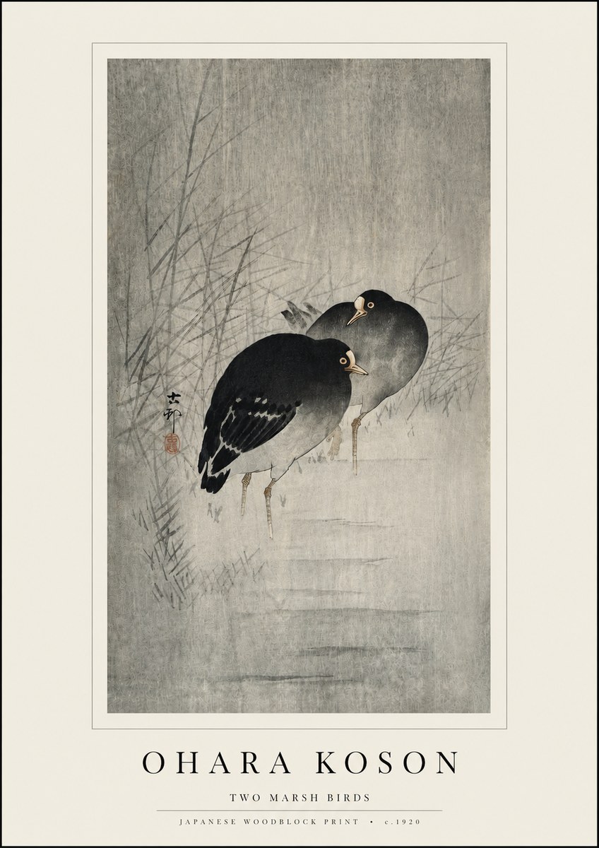 Ohara Koson Two Marsh Birds No3 - Juliste