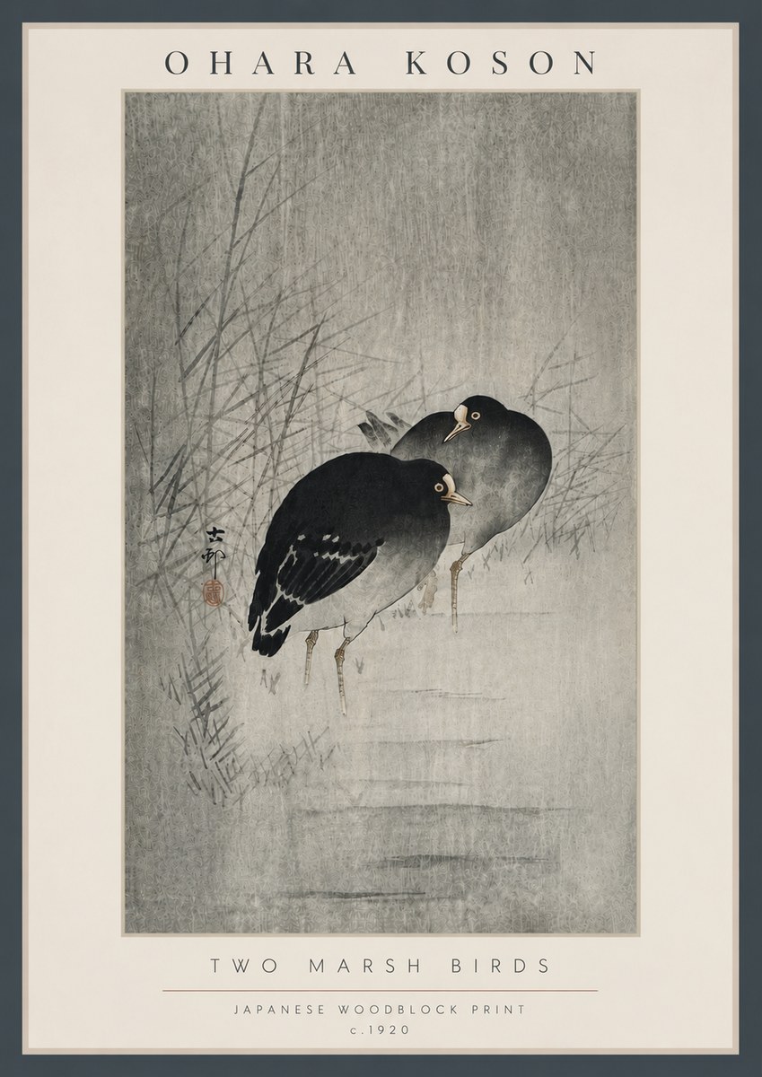 Ohara Koson Two Marsh Birds No6 - Juliste