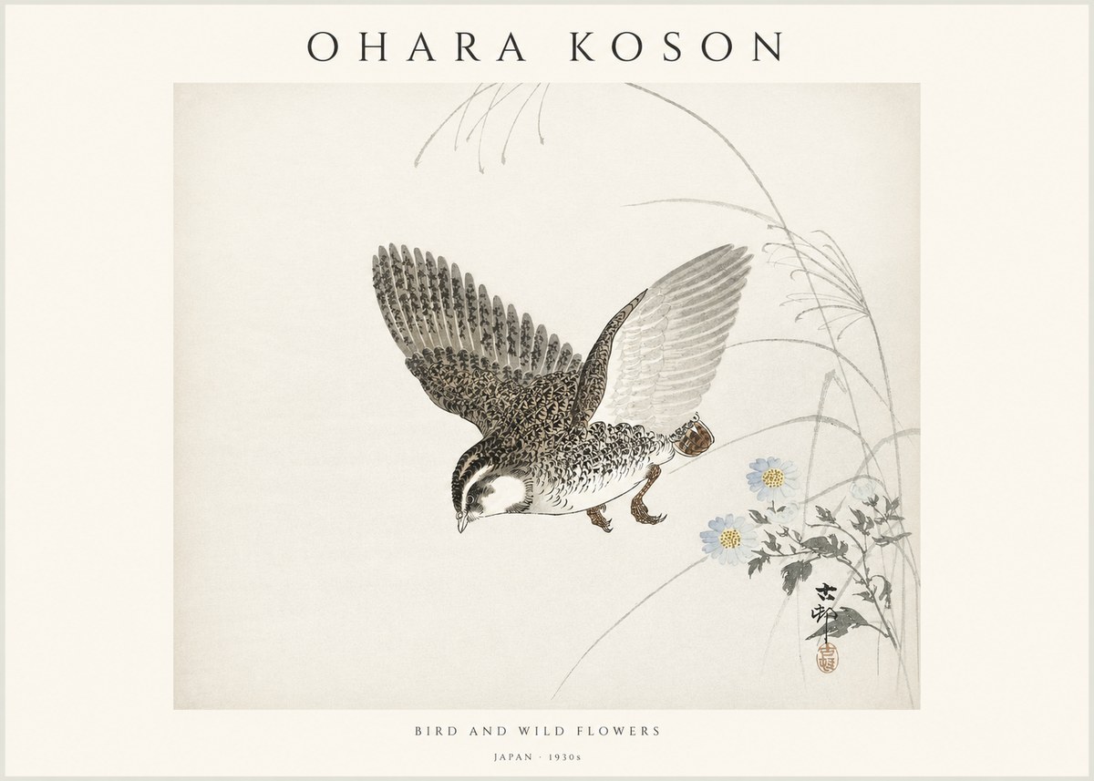 Ohara Koson Bird and Wild Flowers No1 - Juliste