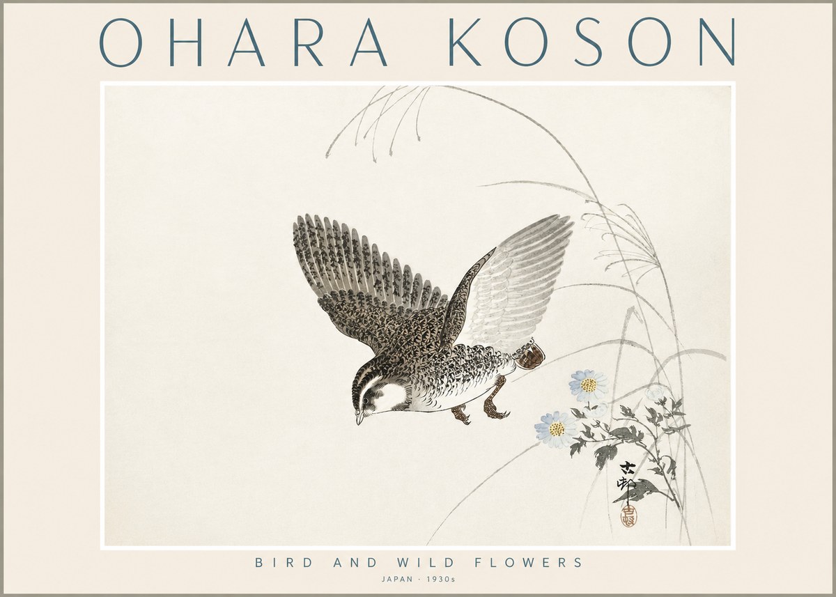 Ohara Koson Bird and Wild Flowers No2 - Juliste