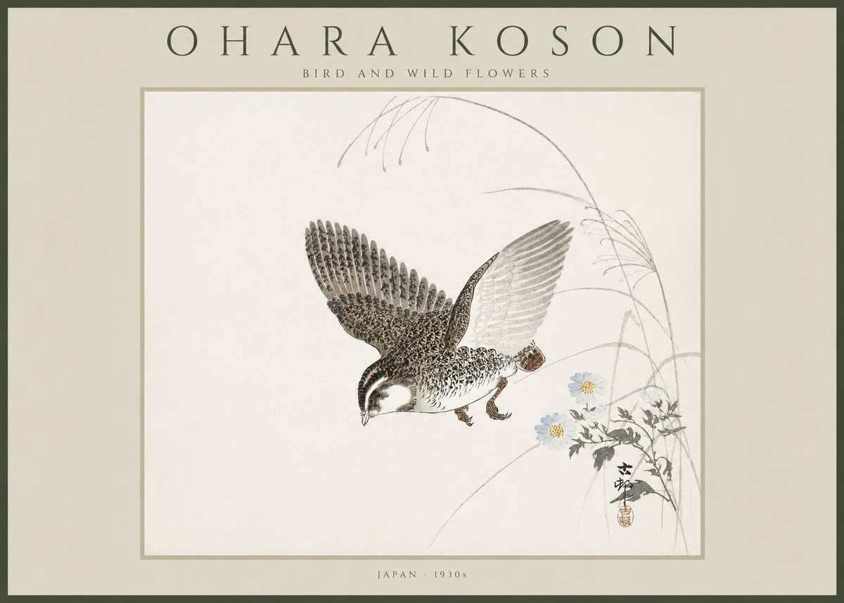Ohara Koson Bird and Wild Flowers No4 - Juliste