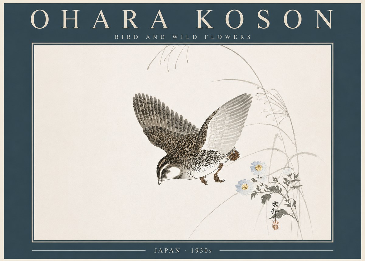 Ohara Koson Bird and Wild Flowers No5 - Juliste