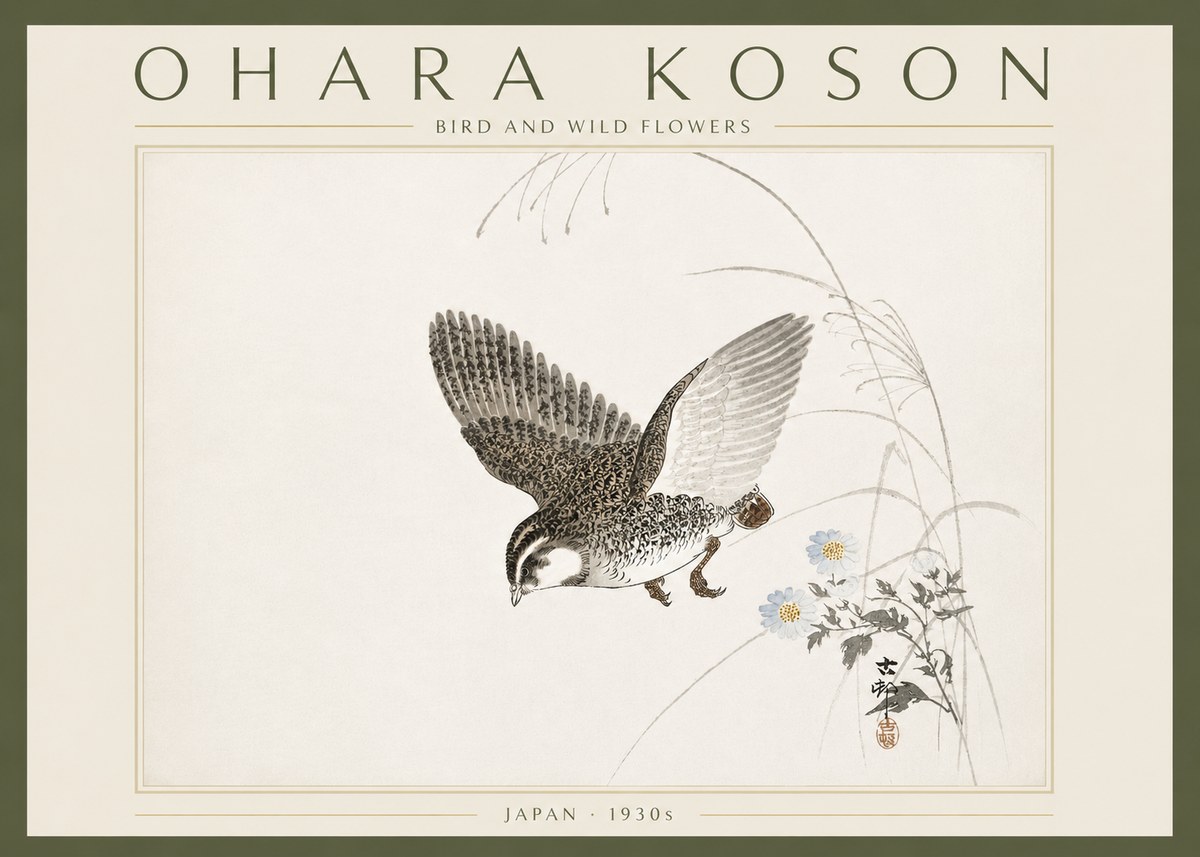 Ohara Koson Bird and Wild Flowers No6 - Juliste
