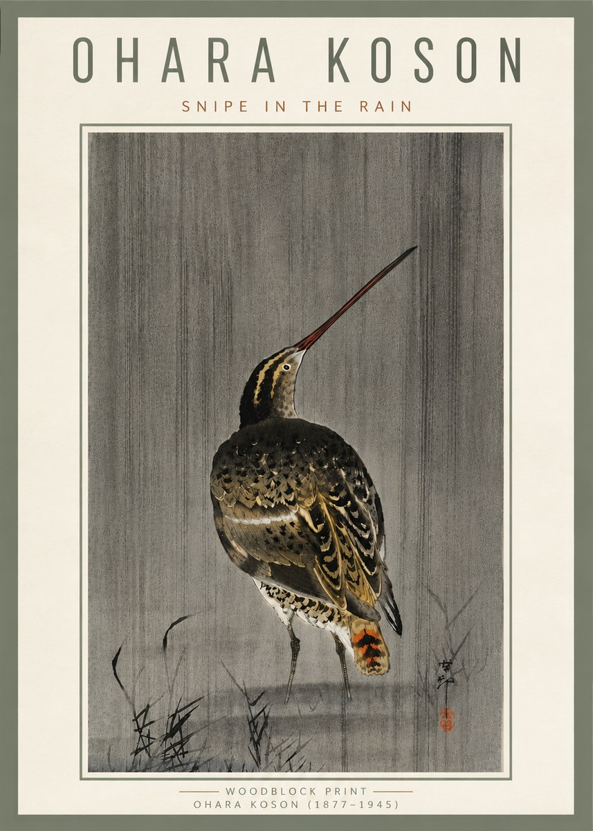 Ohara Koson Snipe in the Rain No6 - Juliste