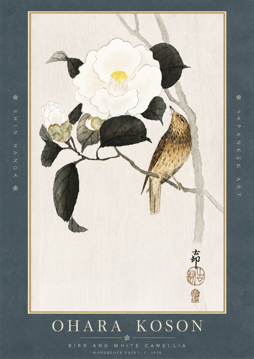 Ohara Koson Bird and White Camellia No3 - Juliste