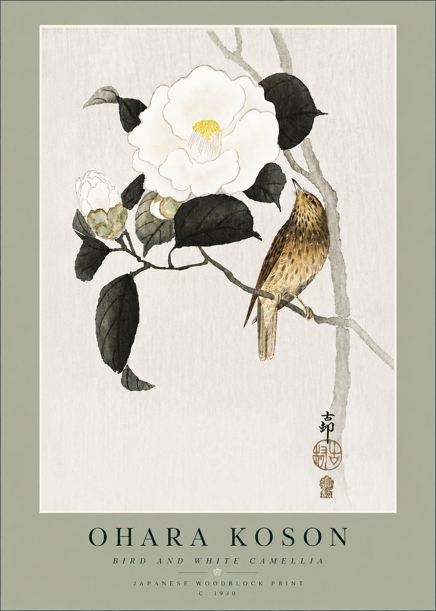 Ohara Koson Bird and White Camellia No4 - Juliste
