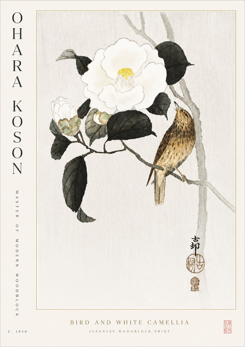 Ohara Koson Bird and White Camellia No5 - Juliste