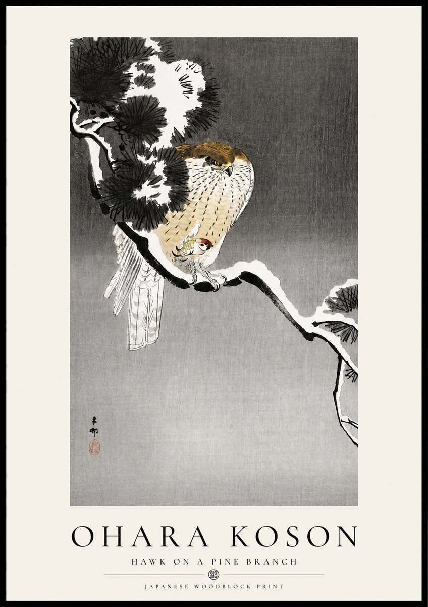Ohara Koson Hawk on a Pine Branch No4 - Juliste