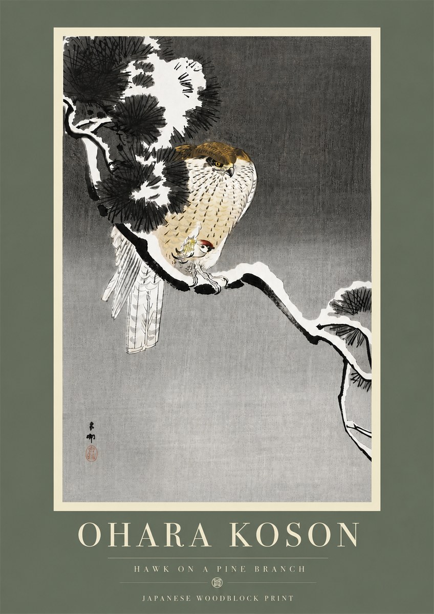 Ohara Koson Hawk on a Pine Branch No5 - Juliste