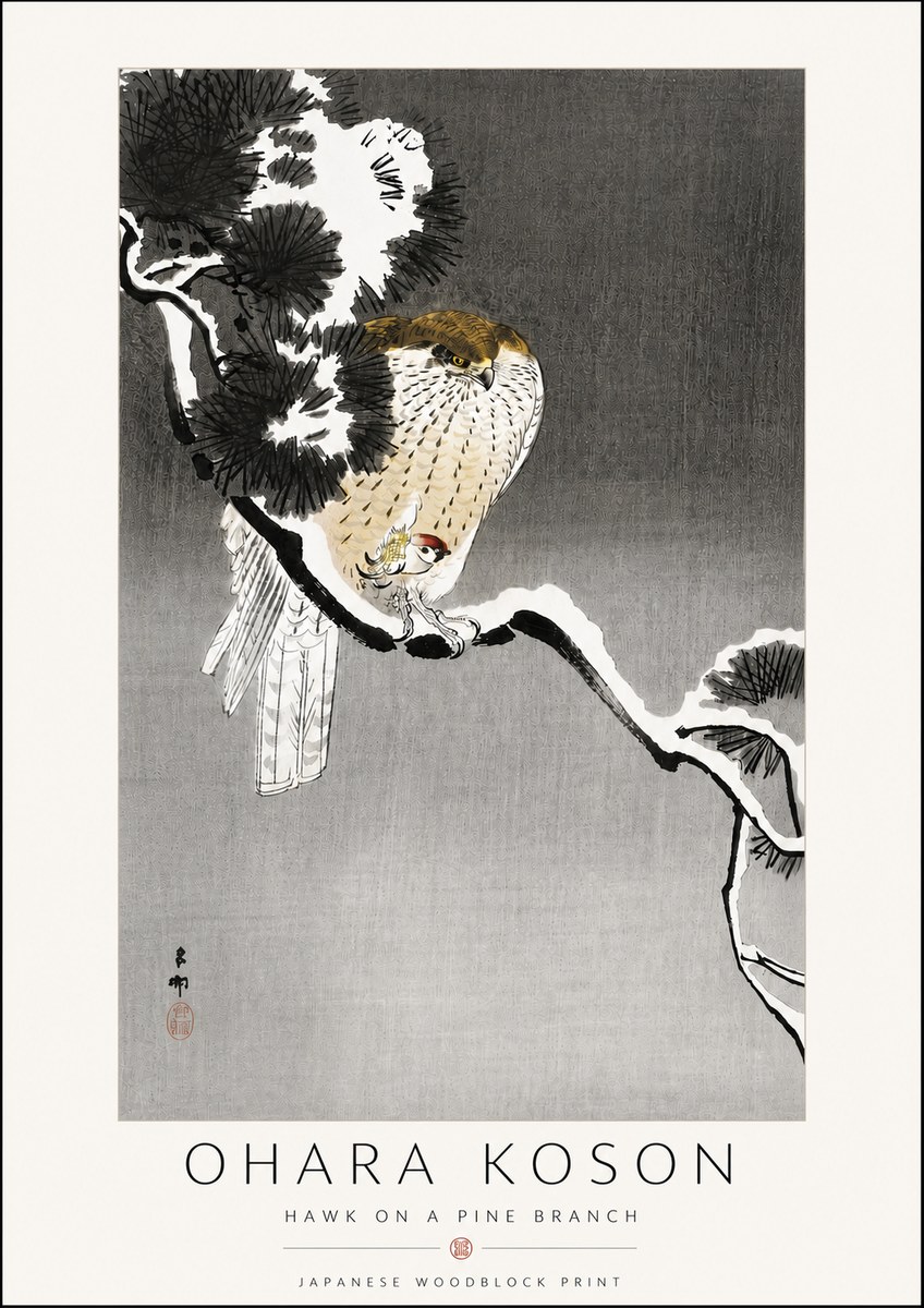 Ohara Koson Hawk on a Pine Branch No6 - Juliste