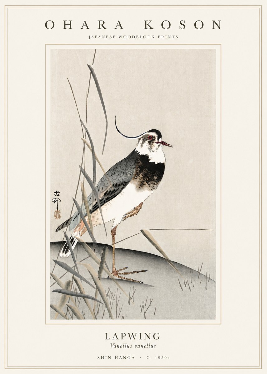 Ohara Koson Lapwing No1 - Juliste