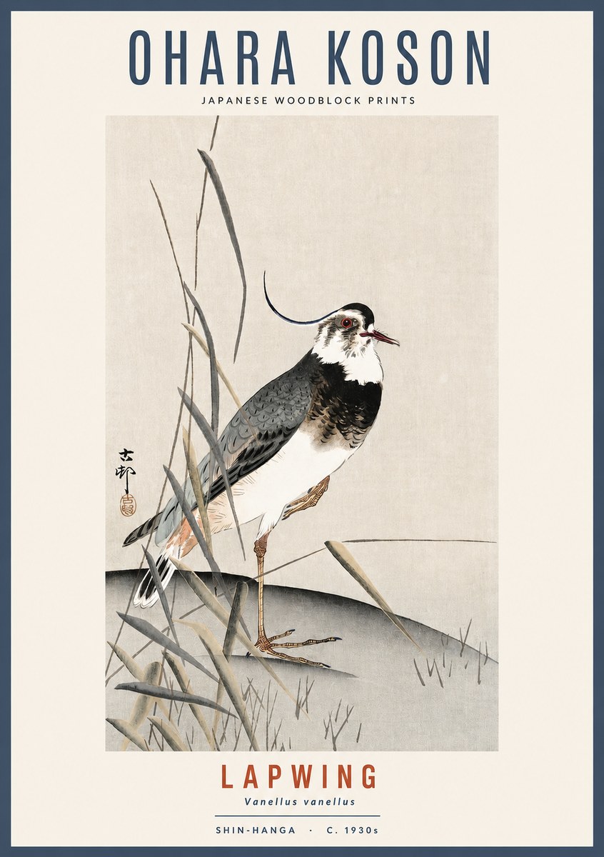 Ohara Koson Lapwing No2 - Juliste