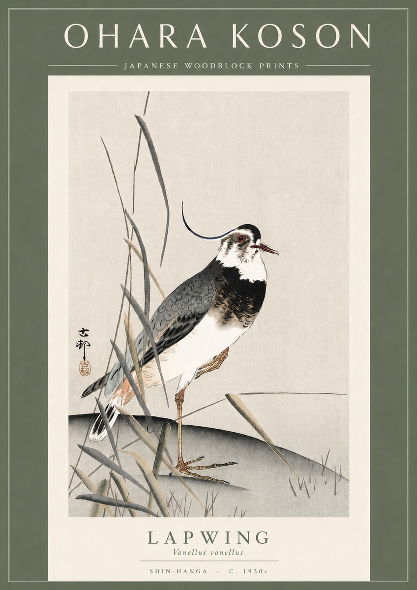 Ohara Koson Lapwing No3 - Juliste