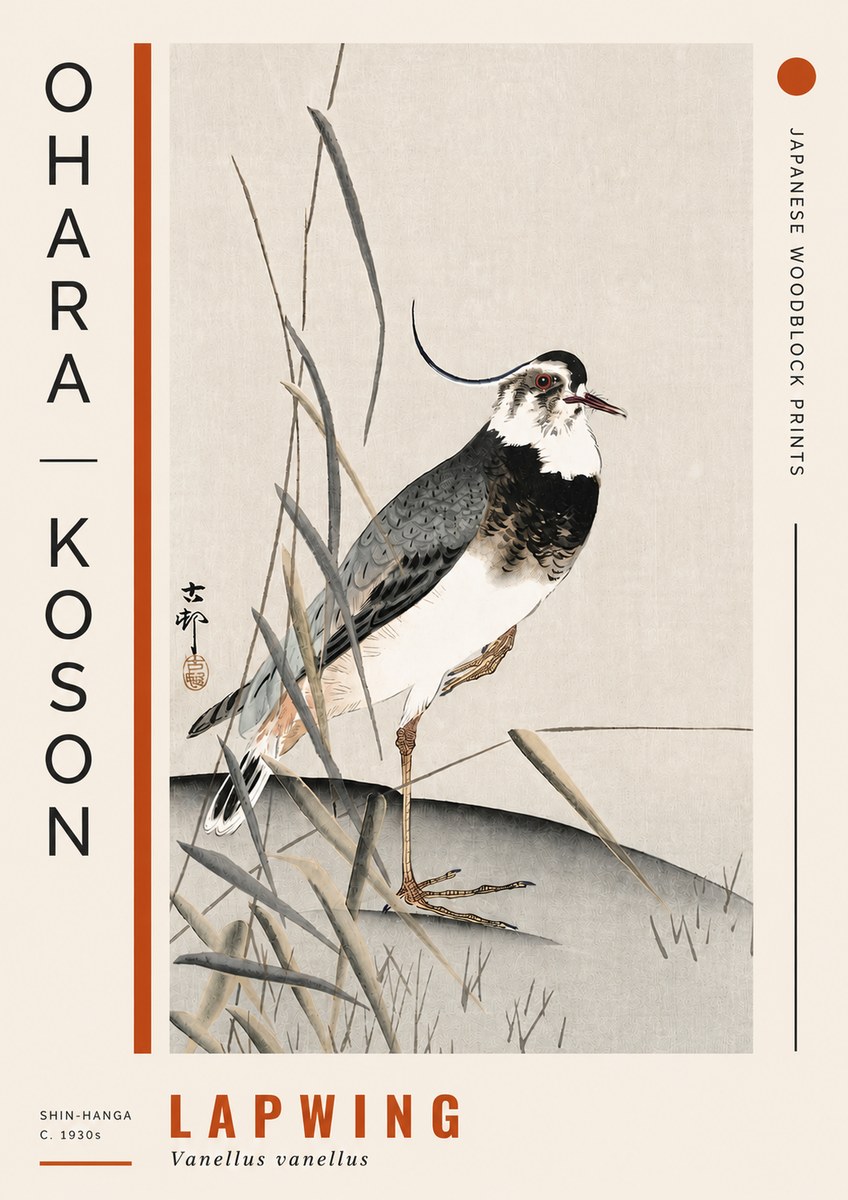 Ohara Koson Lapwing No4 - Juliste