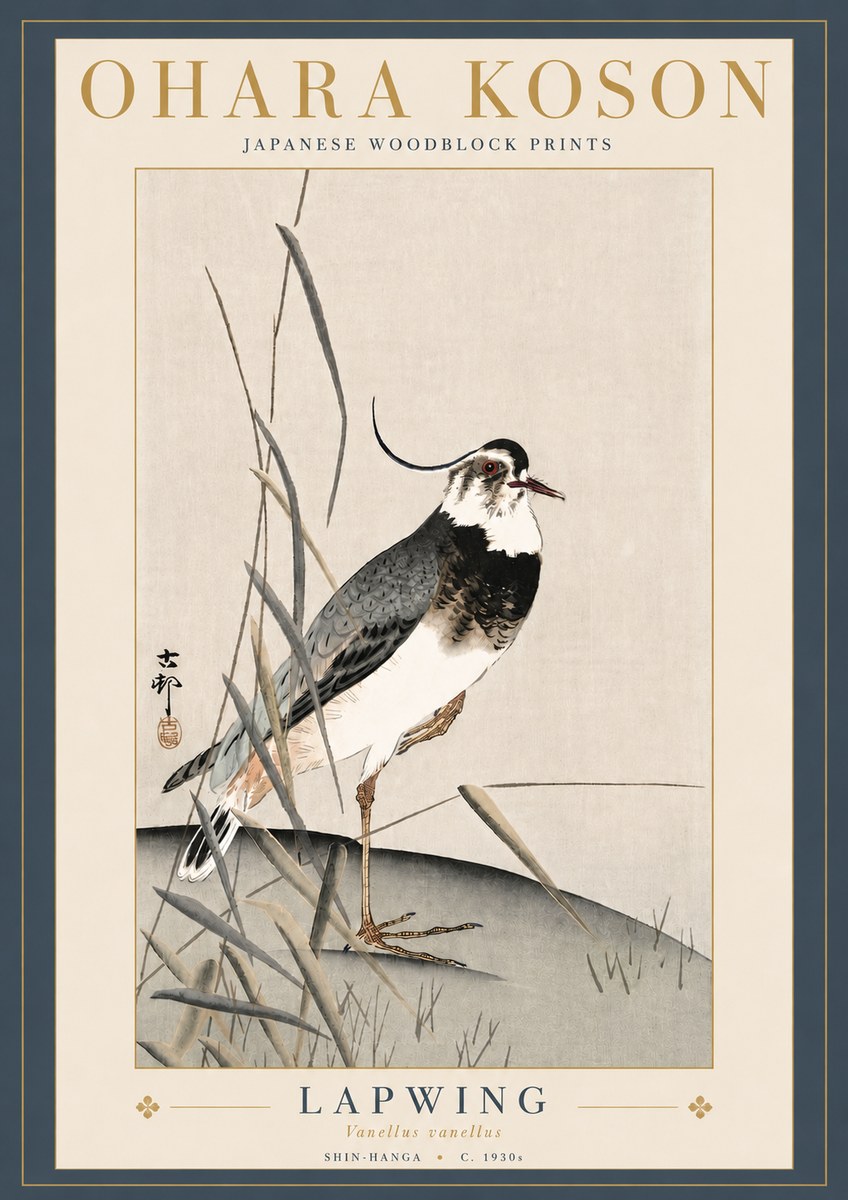 Ohara Koson Lapwing No5 - Juliste