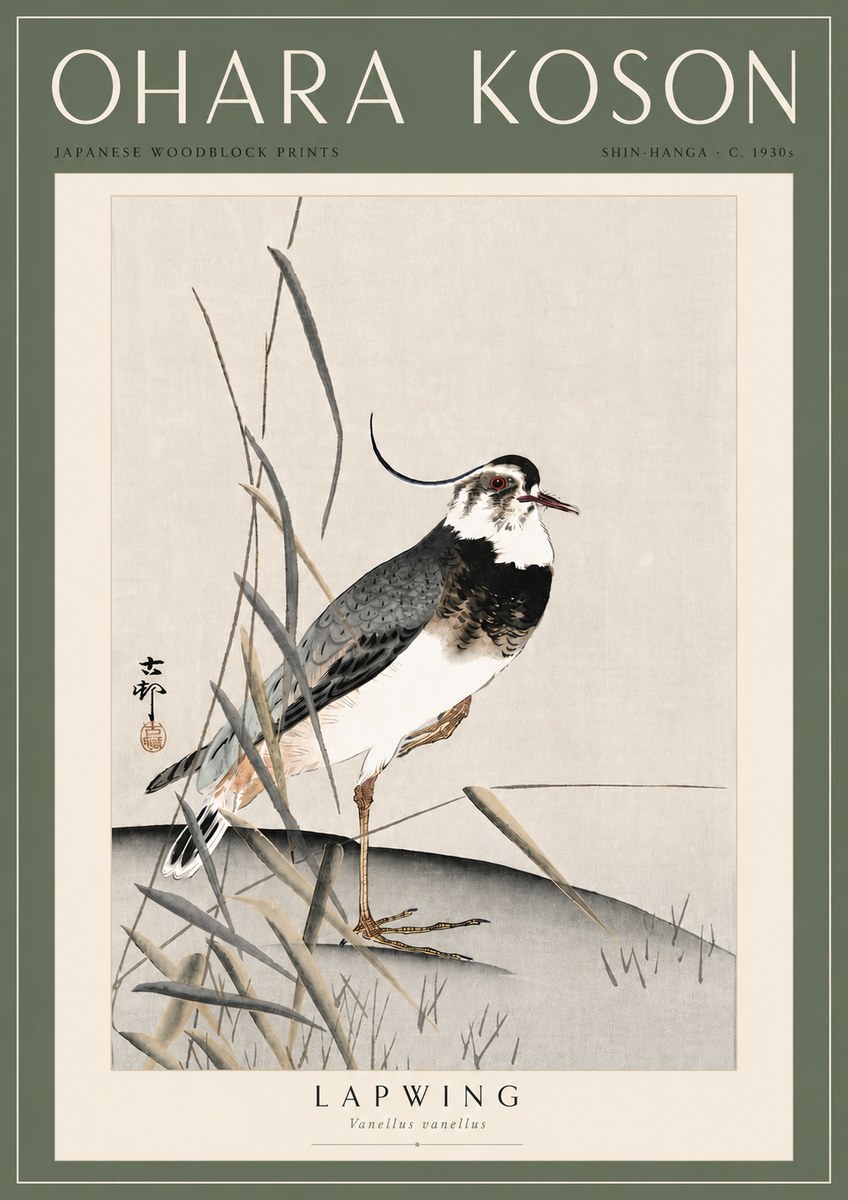 Ohara Koson Lapwing No6 - Juliste