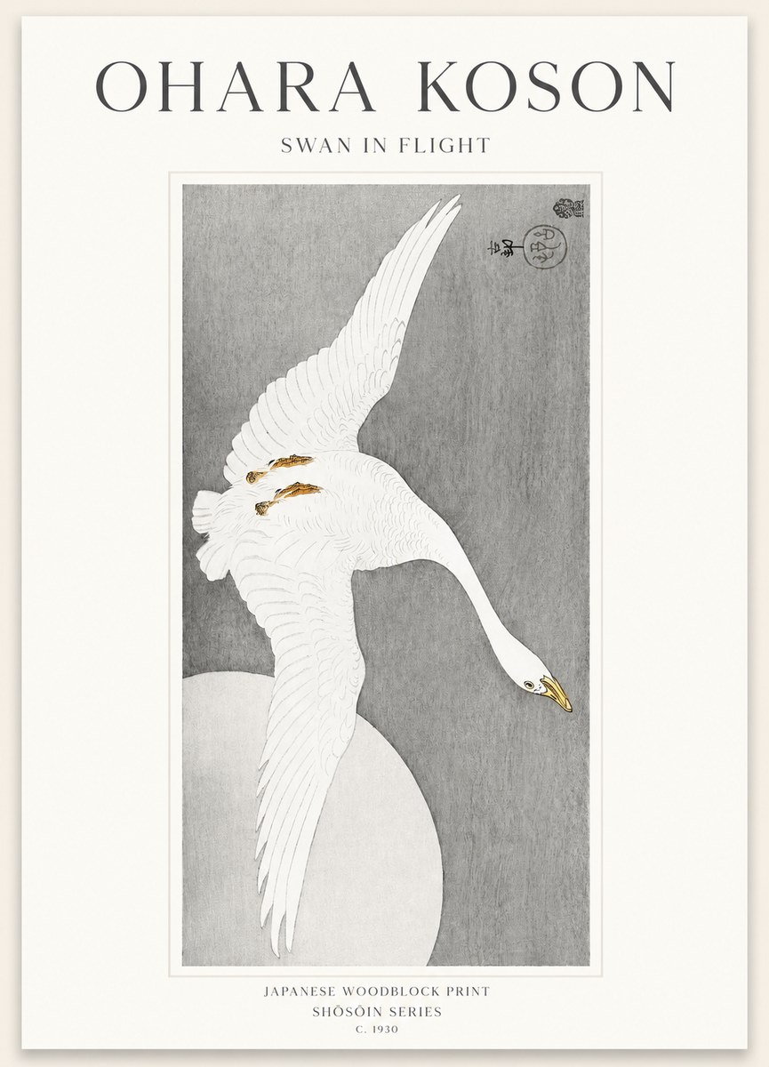 Ohara Koson Swan in Flight No1 - Juliste