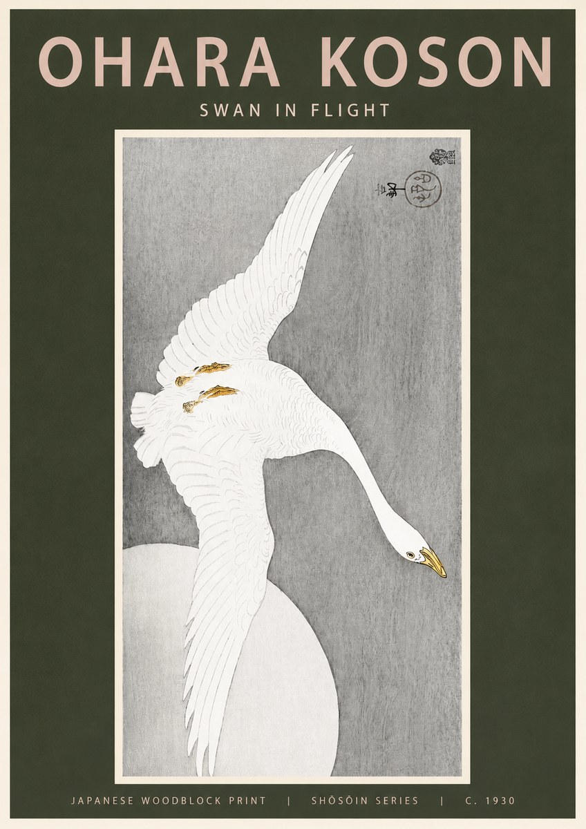 Ohara Koson Swan in Flight No2 - Juliste