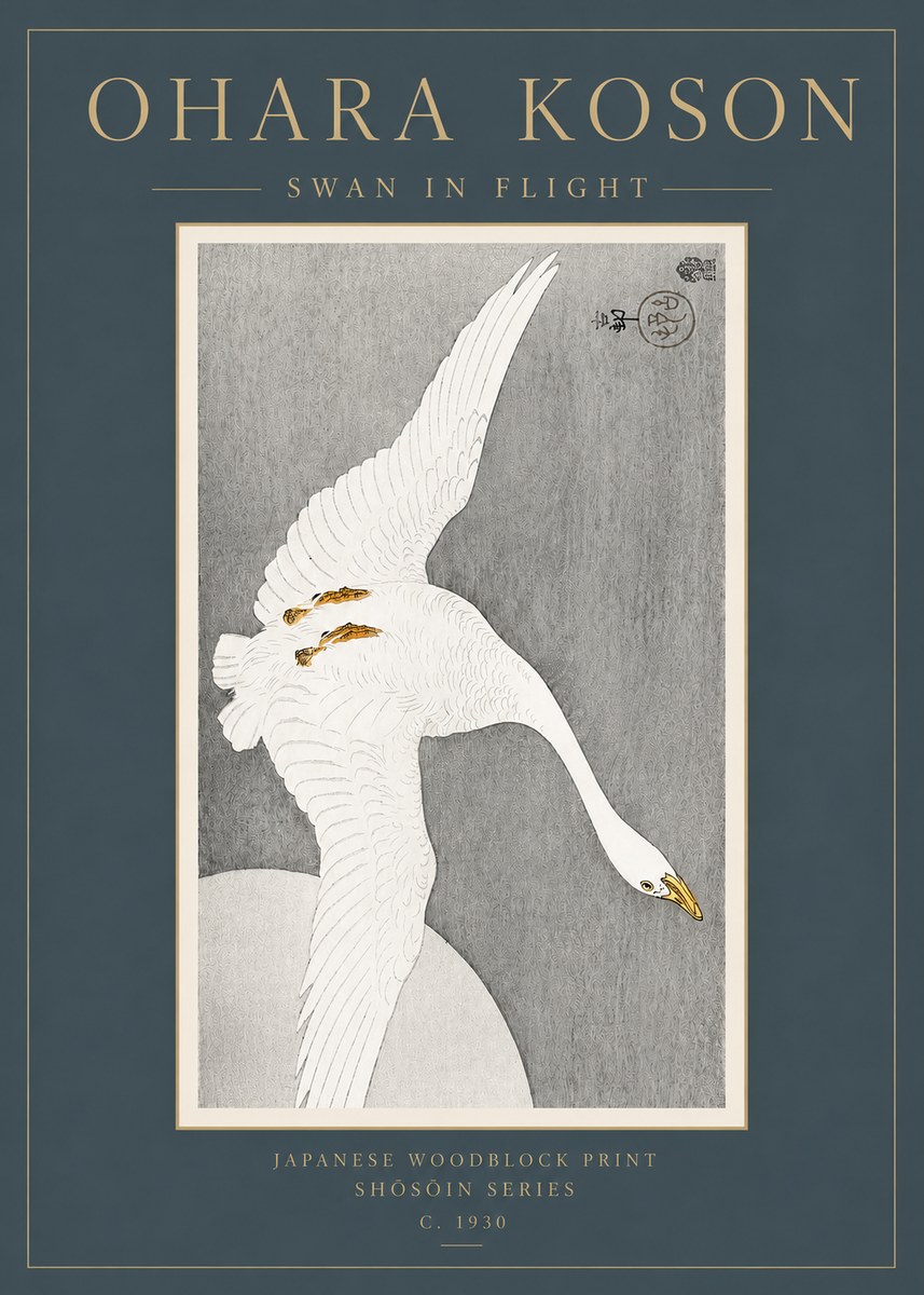 Ohara Koson Swan in Flight No3 - Juliste