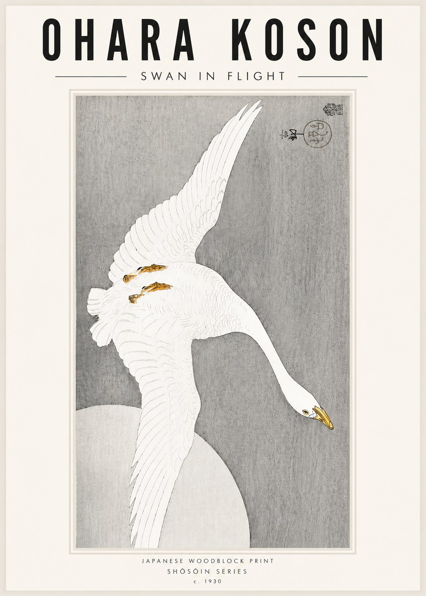 Ohara Koson Swan in Flight No5 - Juliste