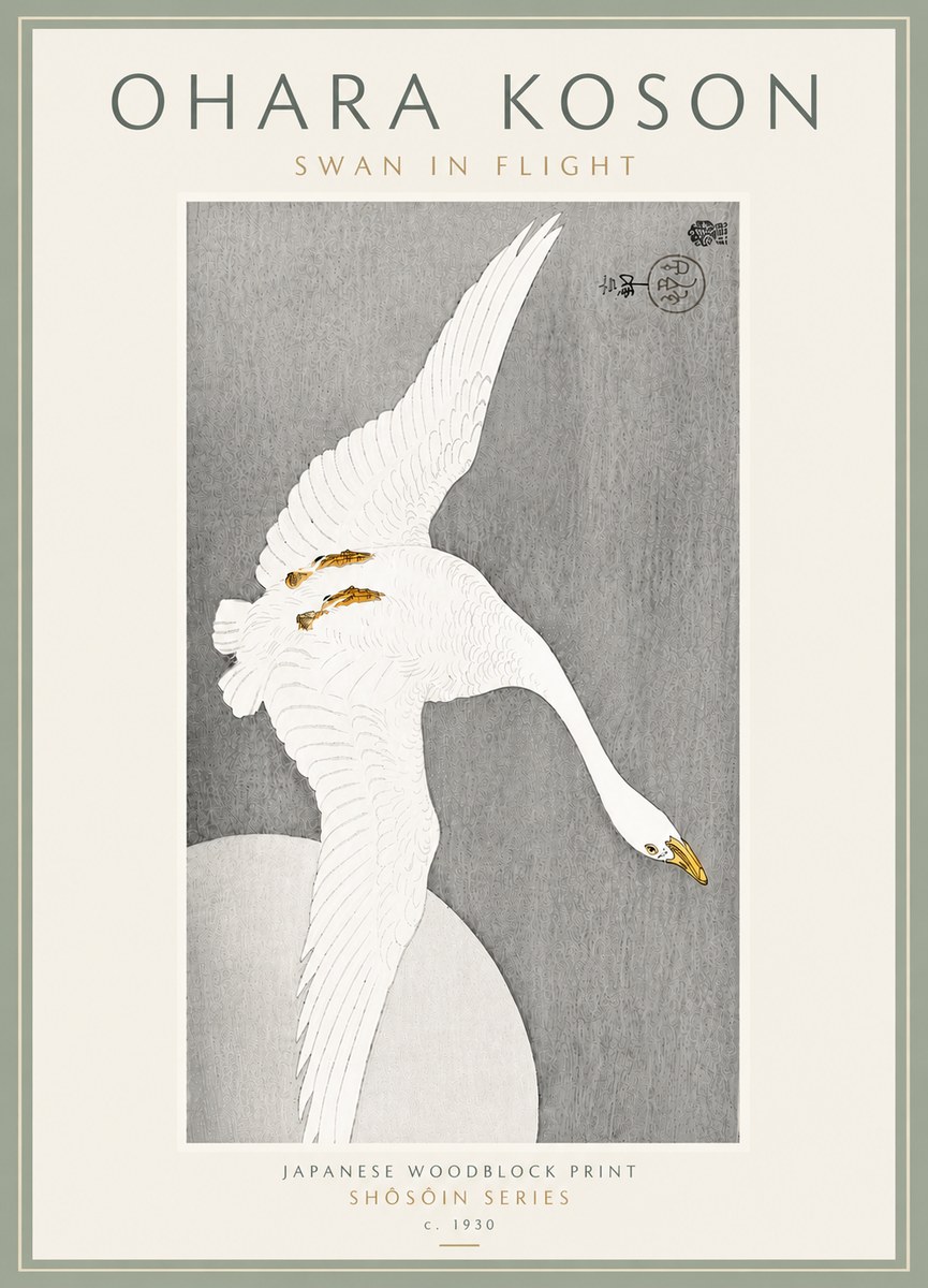 Ohara Koson Swan in Flight No6 - Juliste