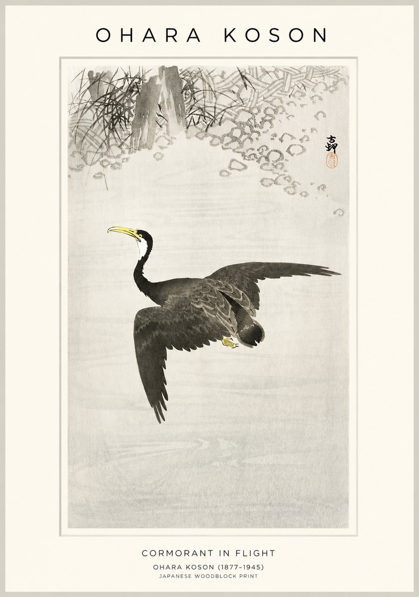 Ohara Koson Cormorant in Flight No1 - Juliste