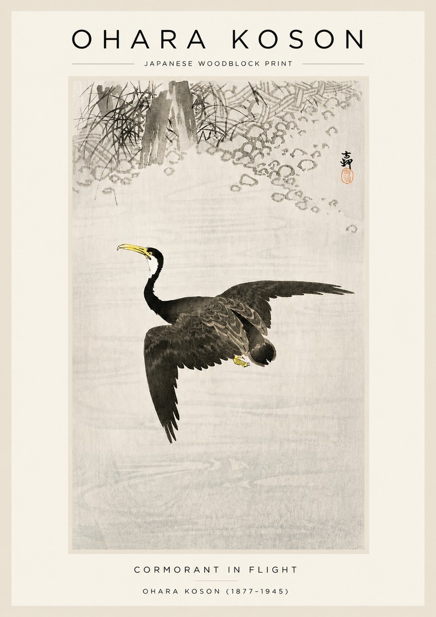 Ohara Koson Cormorant in Flight No3 - Juliste