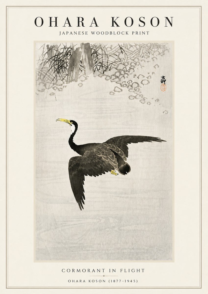 Ohara Koson Cormorant in Flight No5 - Juliste