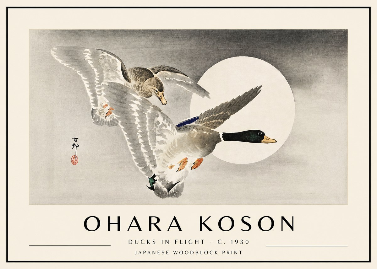 Ohara Koson Ducks in Flight No4 - Juliste