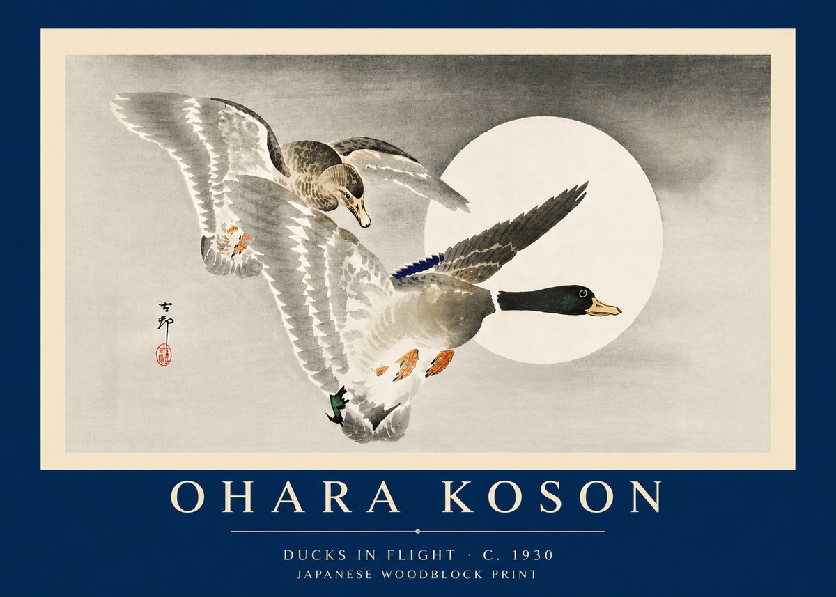 Ohara Koson Ducks in Flight No6 - Juliste
