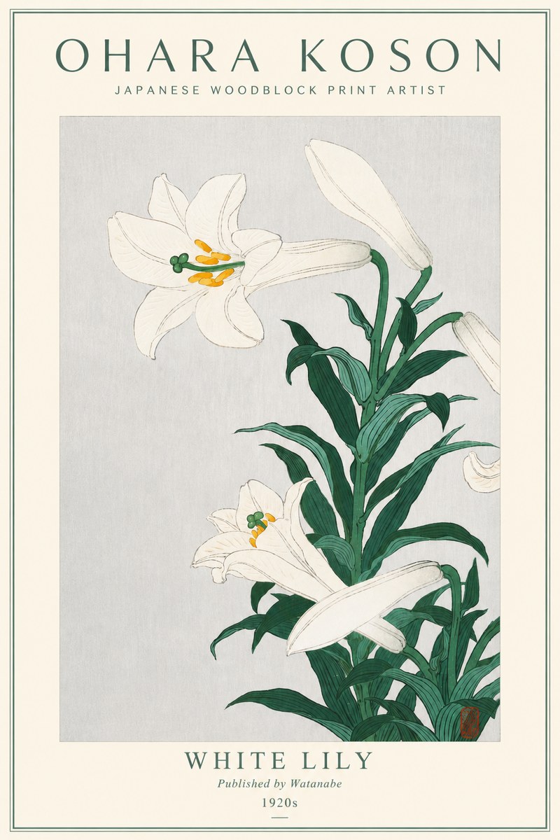 Ohara Koson White Lily No3 - Juliste