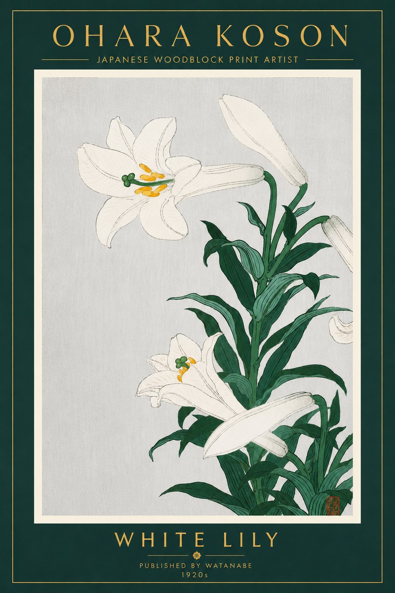 Ohara Koson White Lily No4 - Juliste