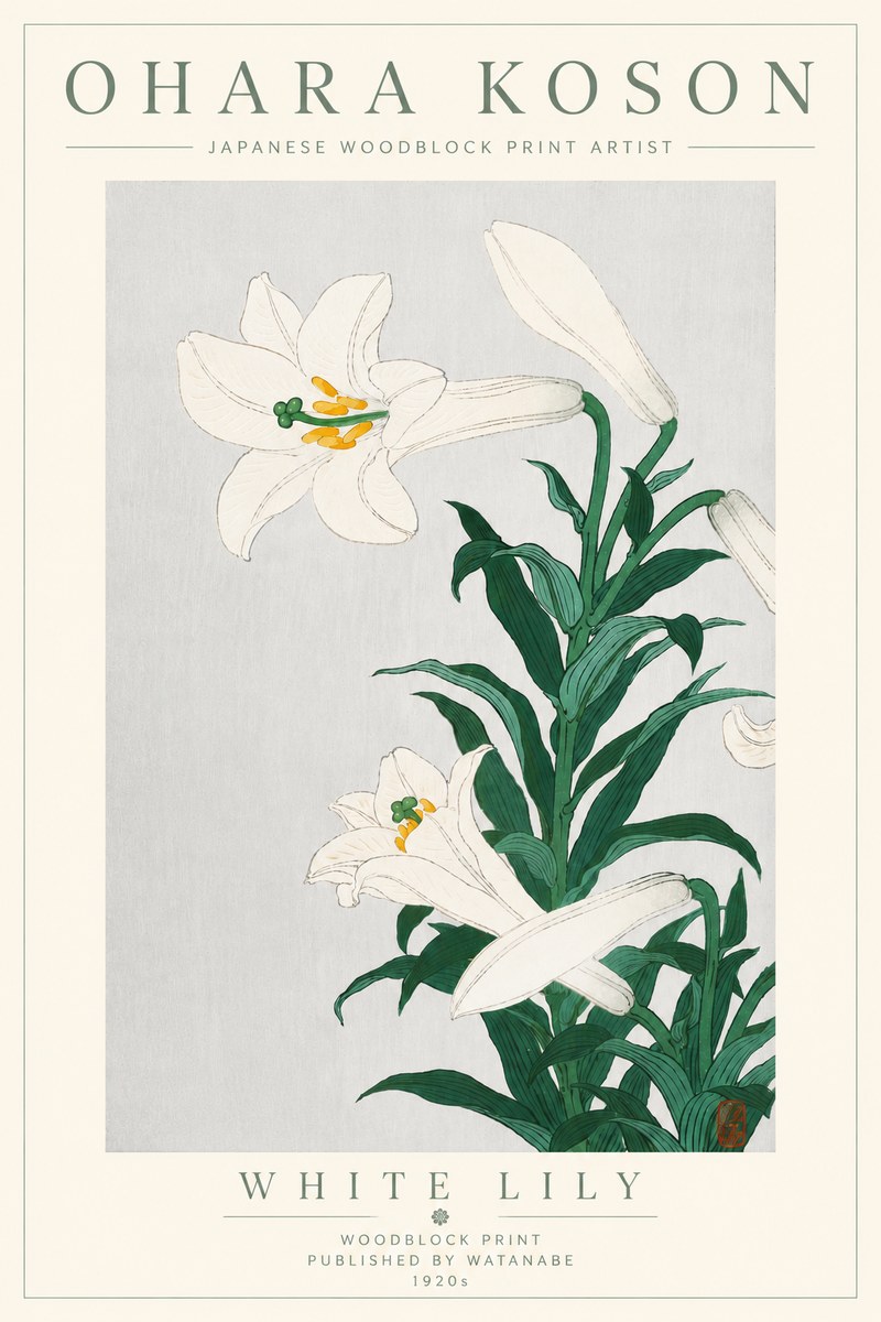 Ohara Koson White Lily No6 - Juliste