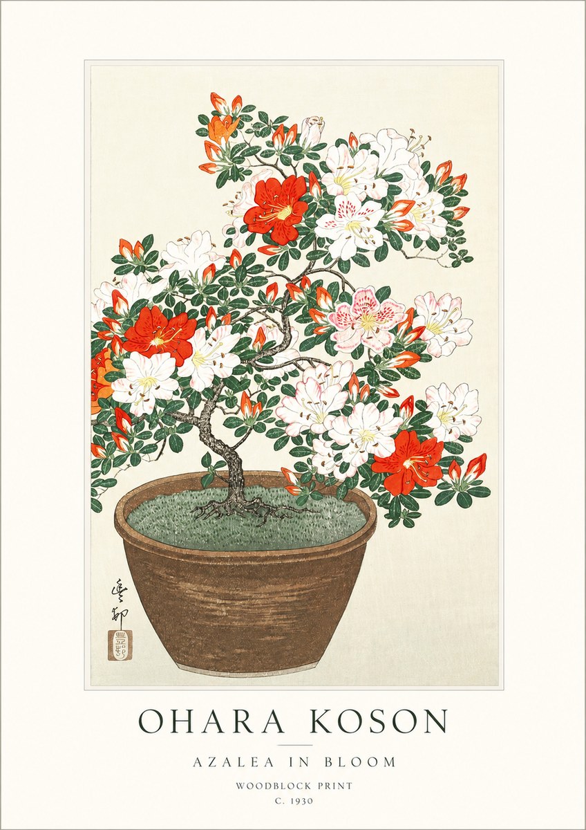 Ohara Koson Azalea in Bloom No1 - Juliste