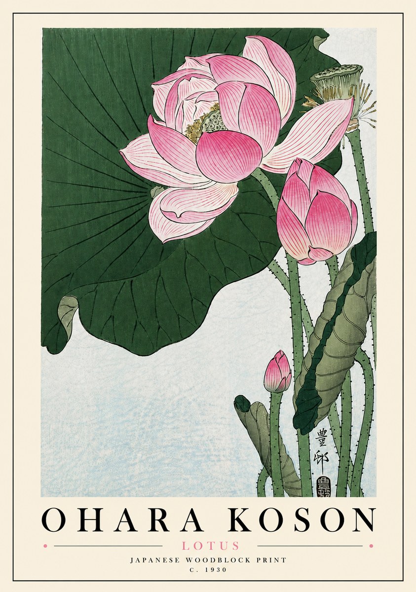 Ohara Koson Lotus II No5 - Juliste