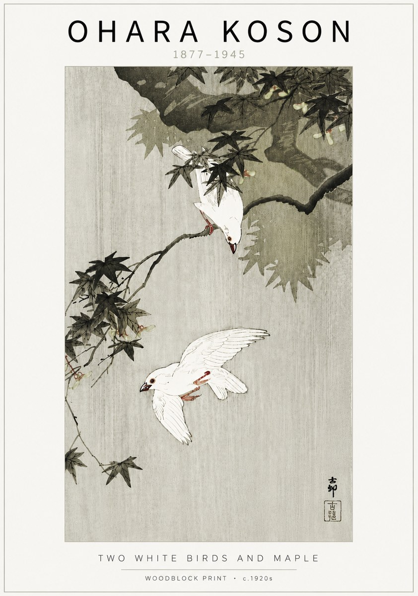 Ohara Koson Two White Birds and Maple No5 - Juliste