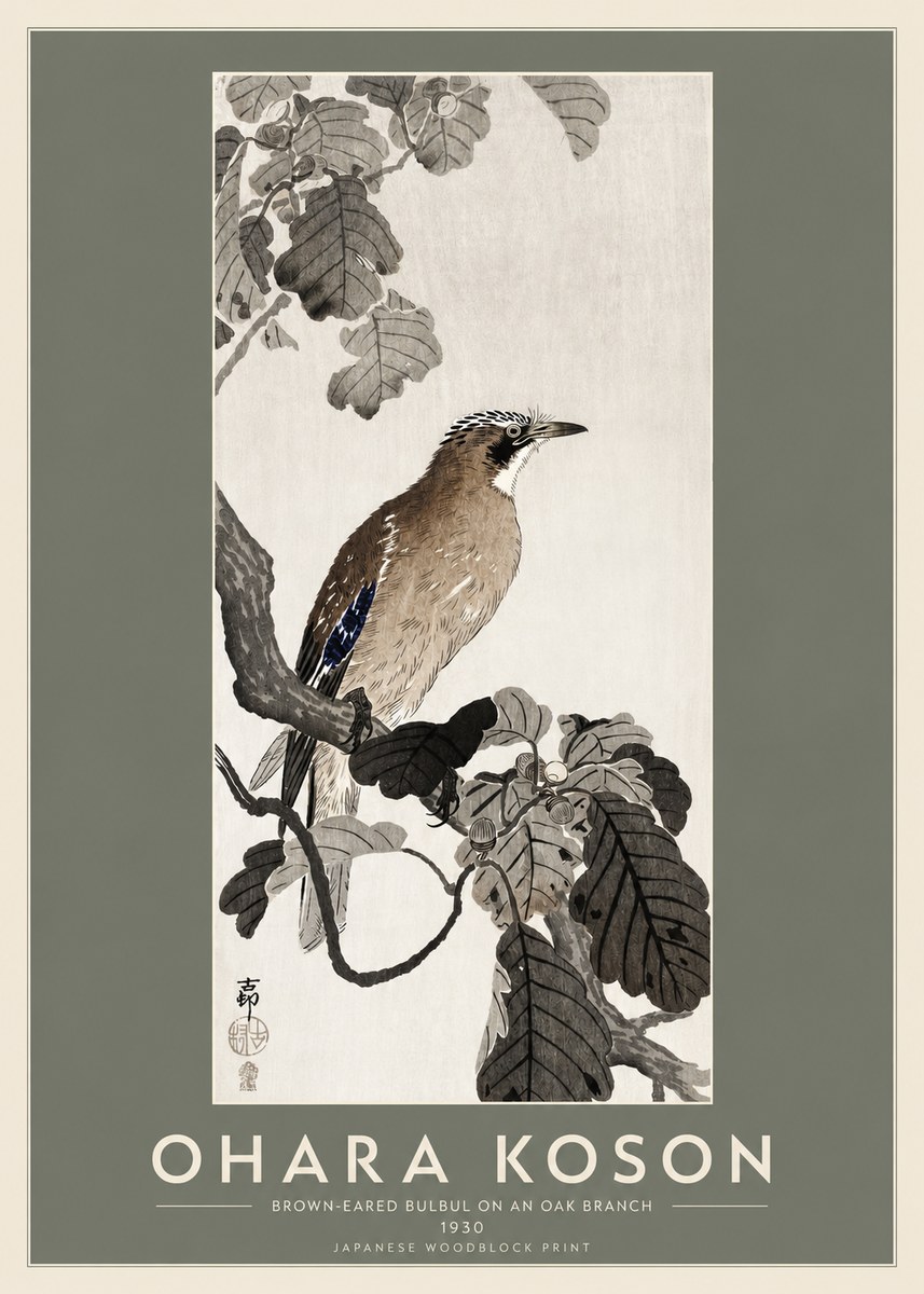 Ohara Koson Brown-eared Bulbul on an Oak Branch No2 - Juliste