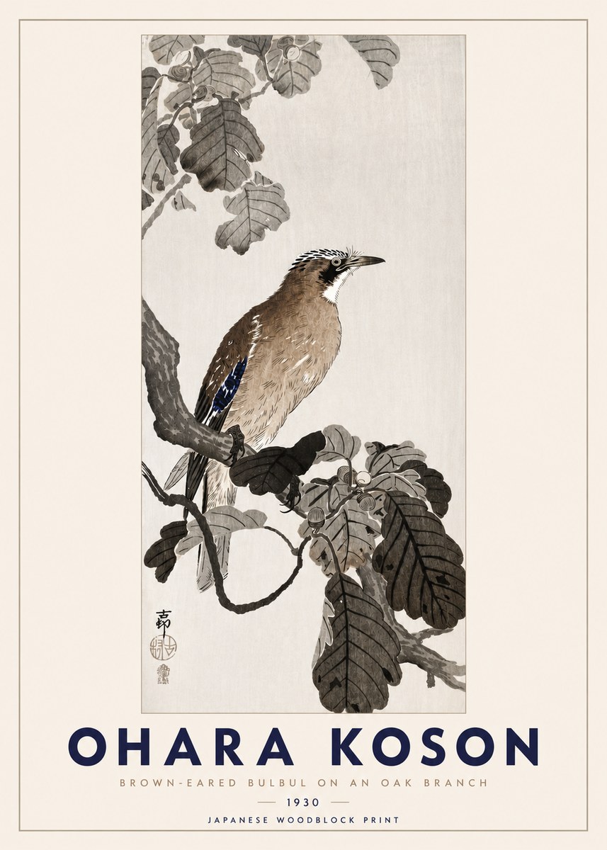 Ohara Koson Brown-eared Bulbul on an Oak Branch No3 - Juliste