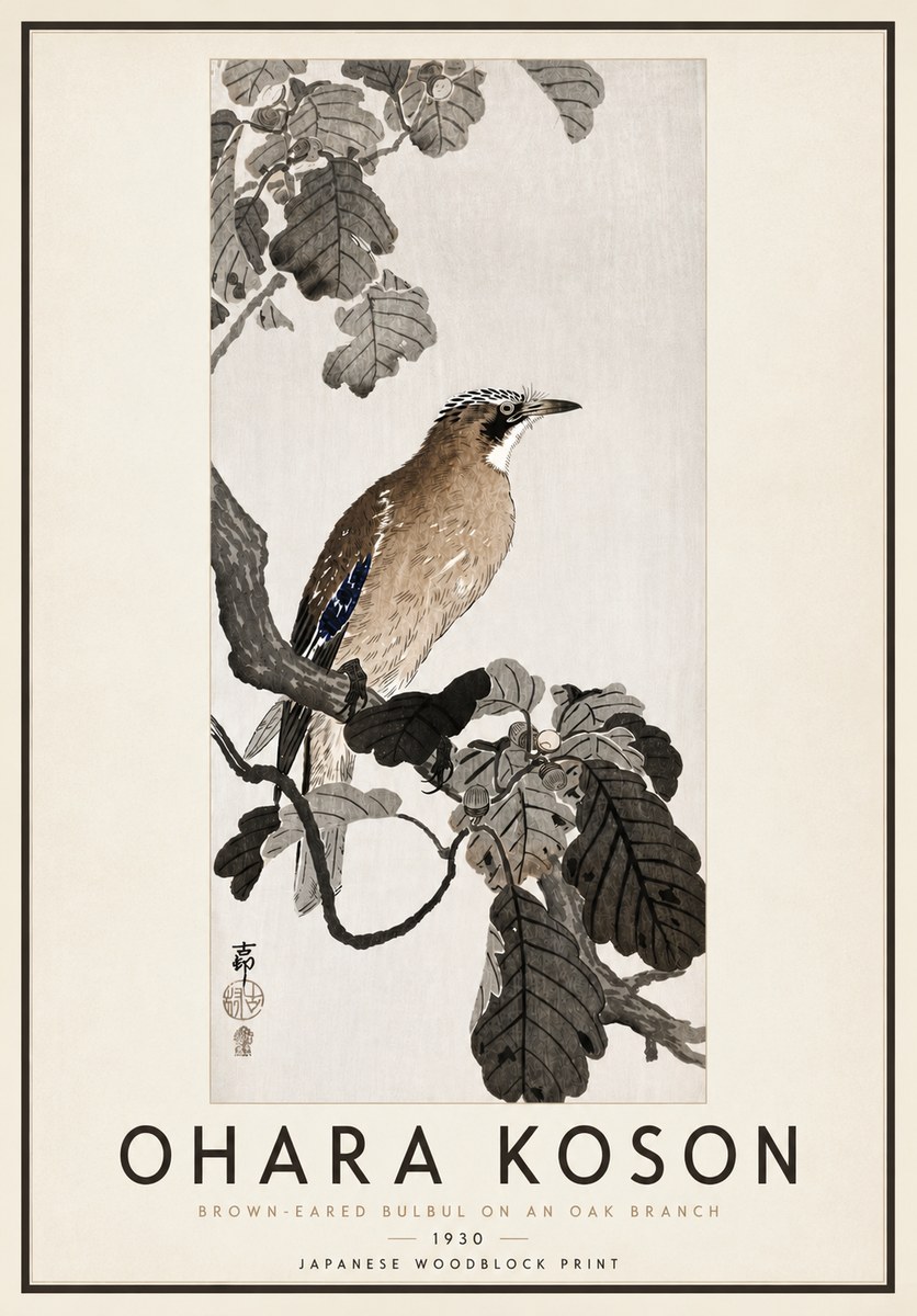 Ohara Koson Brown-eared Bulbul on an Oak Branch No4 - Juliste