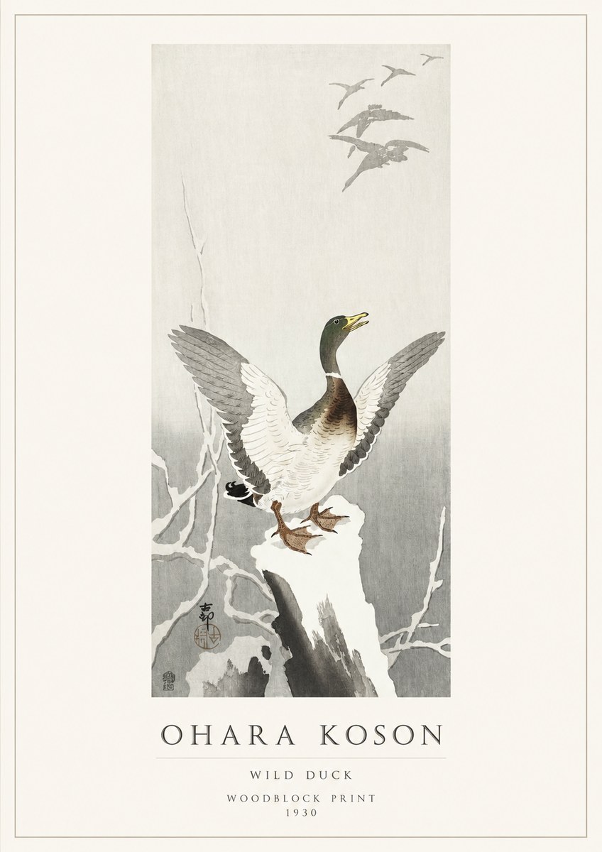 Ohara Koson Wild Duck No1 - Juliste