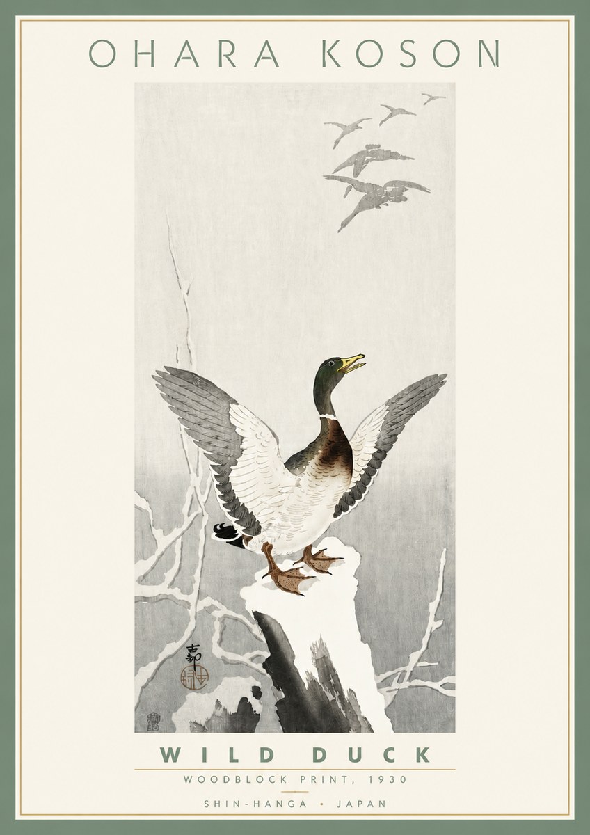 Ohara Koson Wild Duck No4 - Juliste