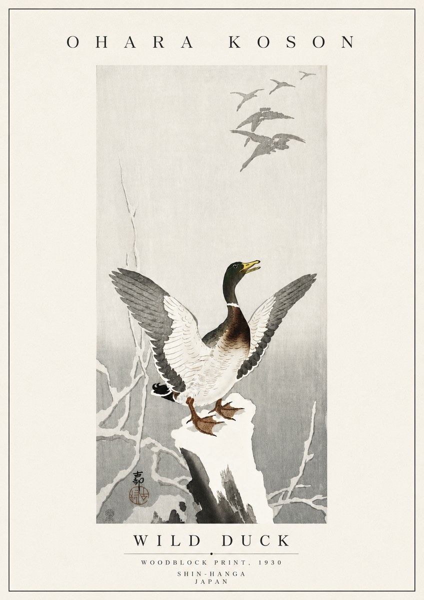 Ohara Koson Wild Duck No5 - Juliste