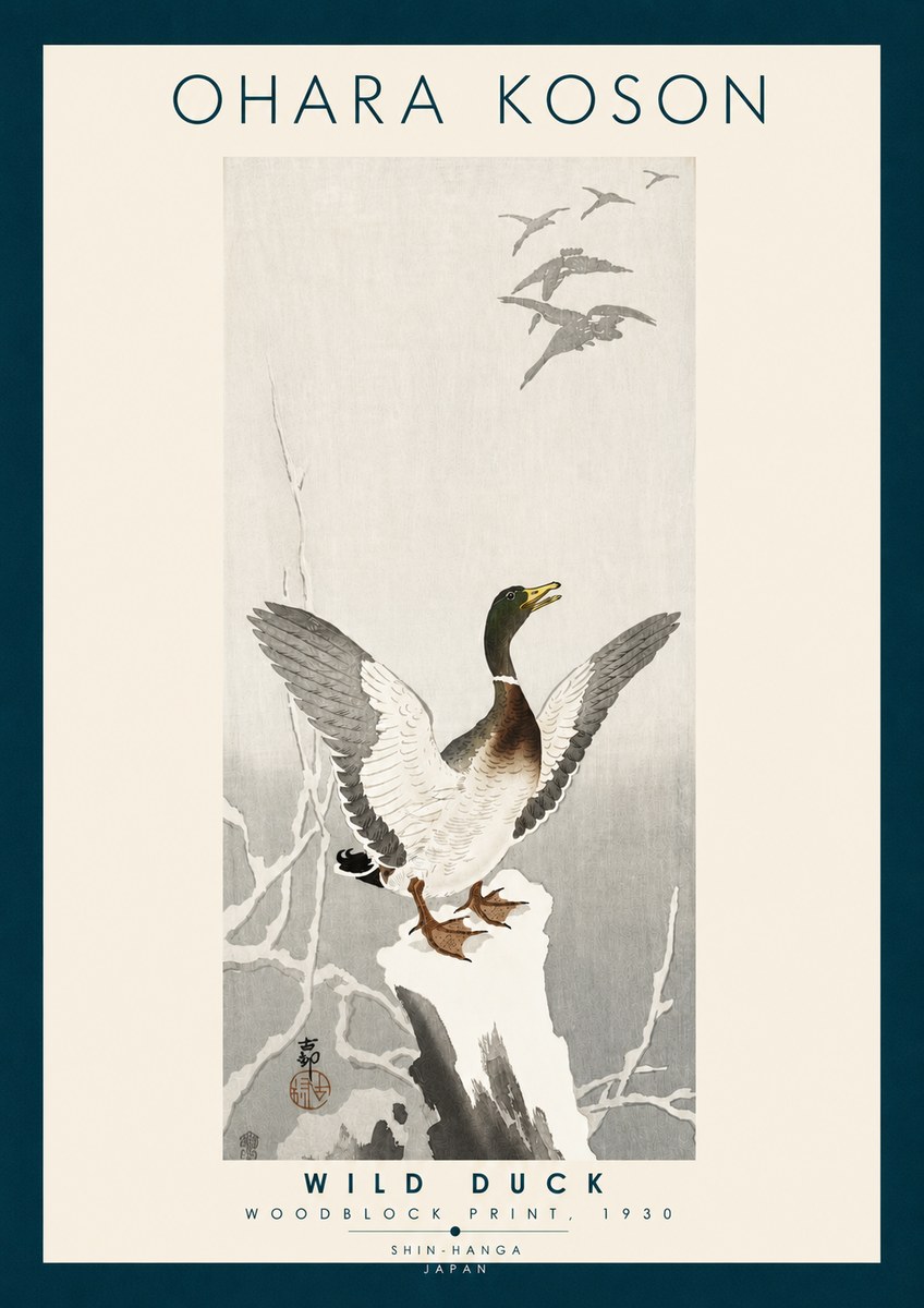 Ohara Koson Wild Duck No6 - Juliste