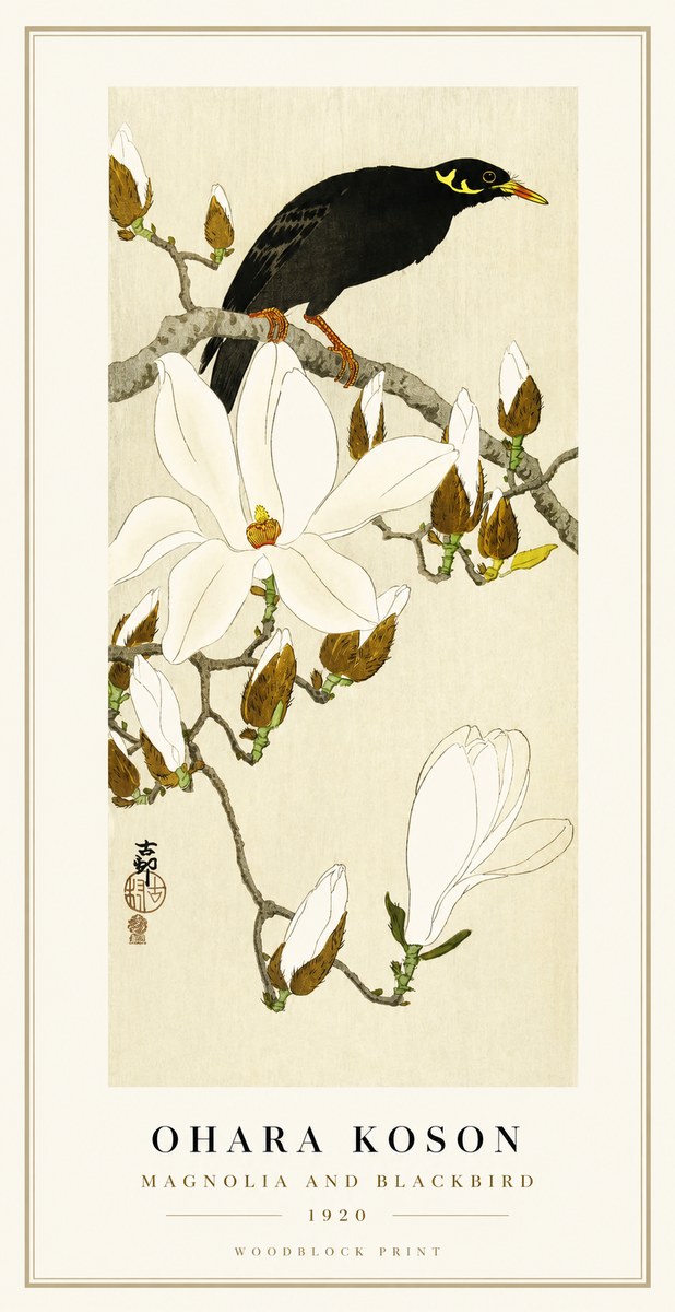 Ohara Koson Magnolia and Blackbird No1 - Juliste