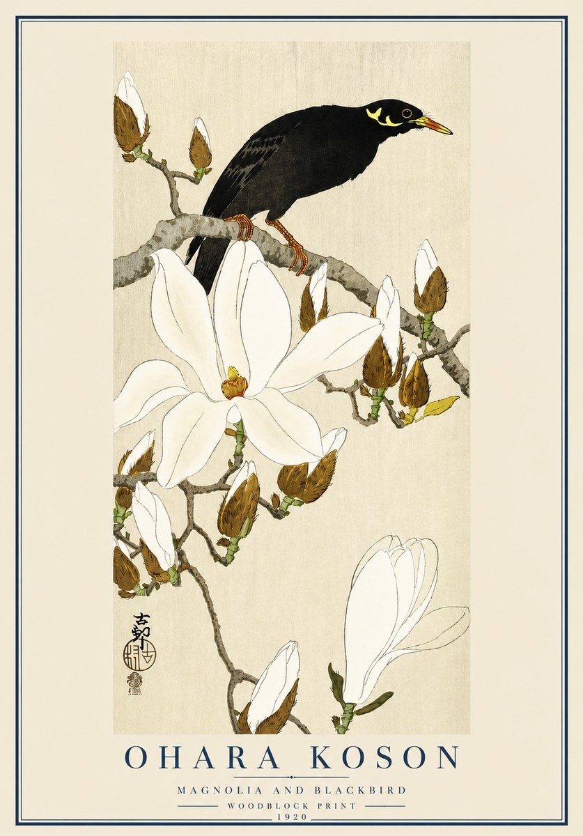 Ohara Koson Magnolia and Blackbird No3 - Juliste