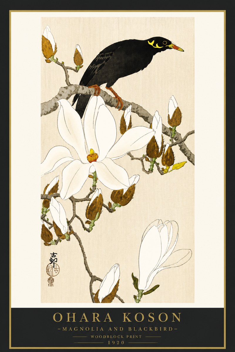 Ohara Koson Magnolia and Blackbird No4 - Juliste