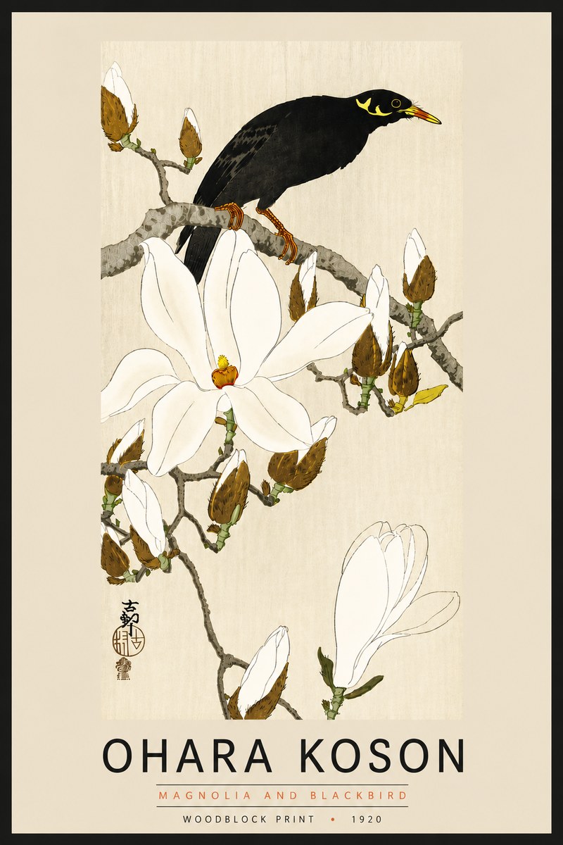 Ohara Koson Magnolia and Blackbird No6 - Juliste